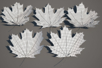 5 Maple Leaves