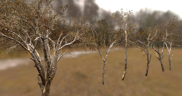10 Autumn Photo-Scanned Full Size Trees