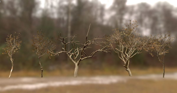 10 Autumn Photo-Scanned Full Size Trees