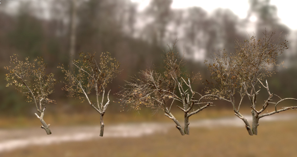 10 Autumn Photo-Scanned Full Size Trees
