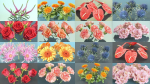10 Flowers Collection
