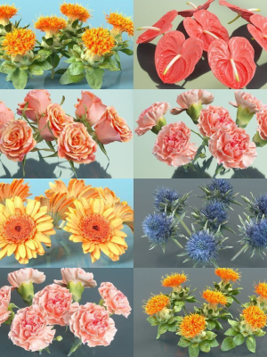 10 Flowers Collection