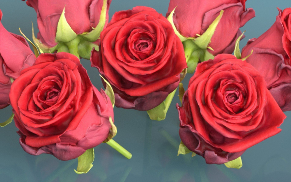 10 Flowers Collection