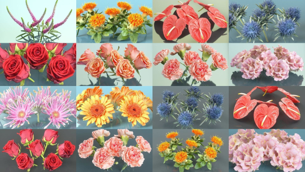 10 Flowers Collection