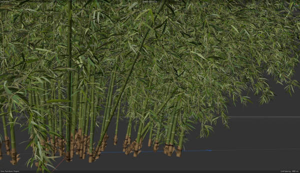 10 High Quality Bamboo Bush collection