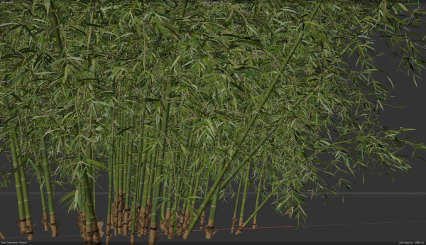 10 High Quality Bamboo Bush collection