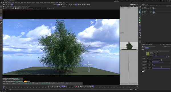 10 High Quality Bamboo Bush collection