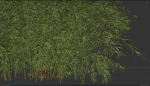 10 High Quality Bamboo Bush collection