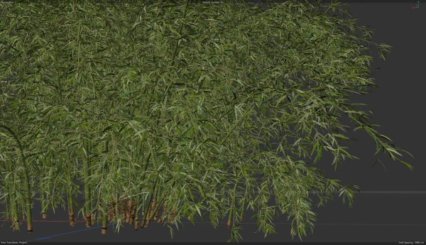10 High Quality Bamboo Bush collection