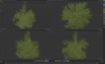 10 High Quality Bamboo Bush collection