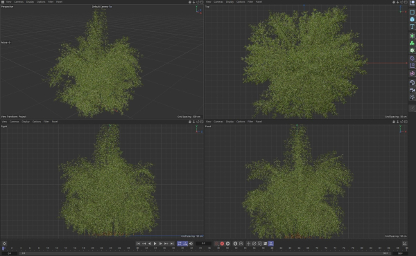 10 High Quality Bamboo Bush collection
