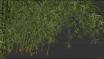 10 High Quality Bamboo Bush collection