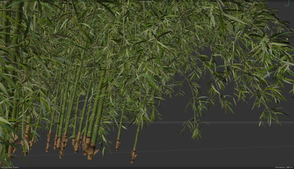 10 High Quality Bamboo Bush collection
