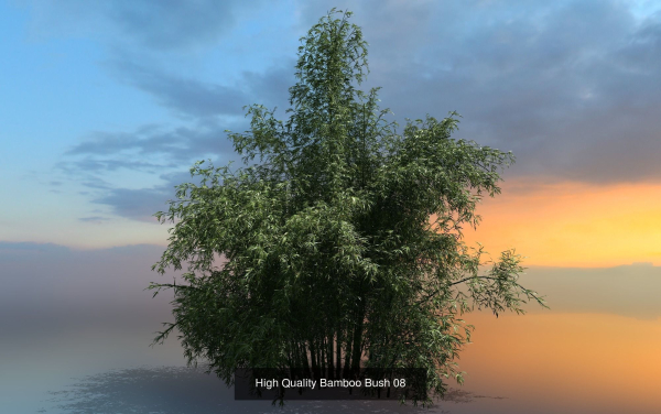 10 High Quality Bamboo Bush collection