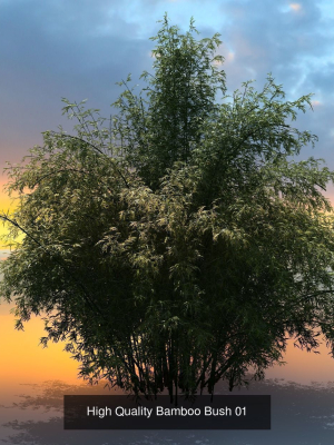 10-high-quality-bamboo-bush-collection-3d-model-f420a4562d