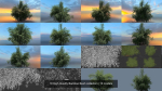 10 High Quality Bamboo Bush collection