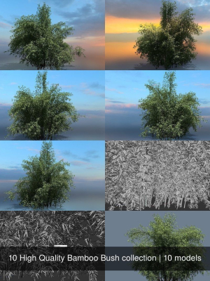 10 High Quality Bamboo Bush collection