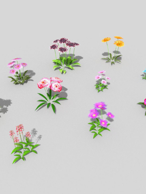 10-low-poly-flowers-pack-2-3d-model-low-poly-obj-3ds-fbx-blend-dae