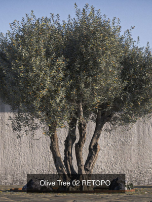 10-x-olive-tree-pack-3d-model-max-obj-fbx-dxf