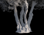 10 x Olive Tree Pack