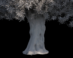 10 x Olive Tree Pack