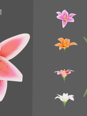 11-type-of-garden-flowers-with-leaves-3d-model-2c91bdbffb