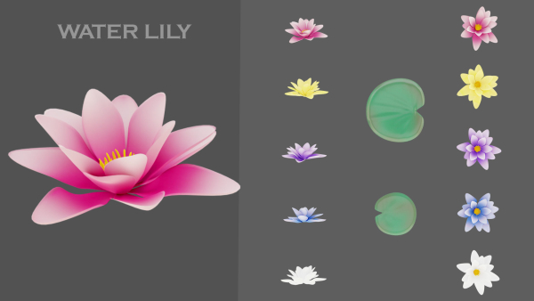 11 TYPE OF GARDEN FLOWERS with leaves