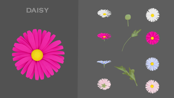 11 TYPE OF GARDEN FLOWERS with leaves
