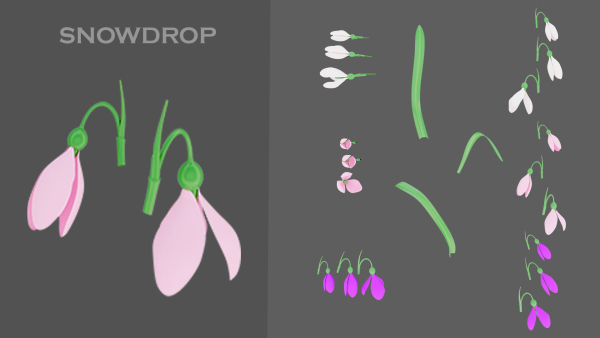 11 TYPE OF GARDEN FLOWERS with leaves