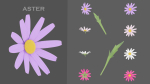 11 TYPE OF GARDEN FLOWERS with leaves