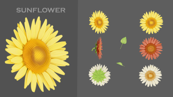 11 TYPE OF GARDEN FLOWERS with leaves