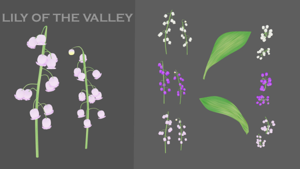 11 TYPE OF GARDEN FLOWERS with leaves