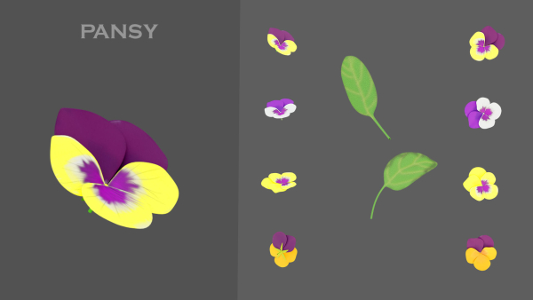 11 TYPE OF GARDEN FLOWERS with leaves