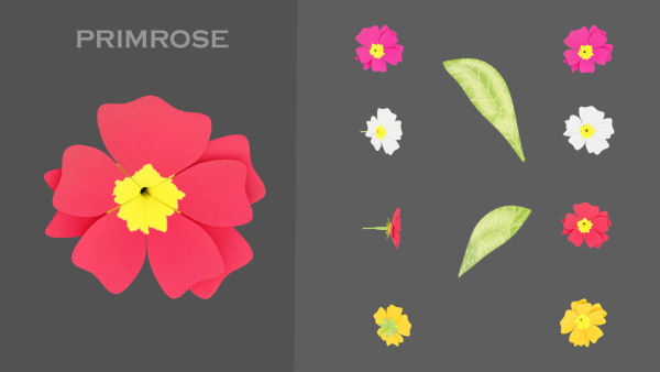 11 TYPE OF GARDEN FLOWERS with leaves