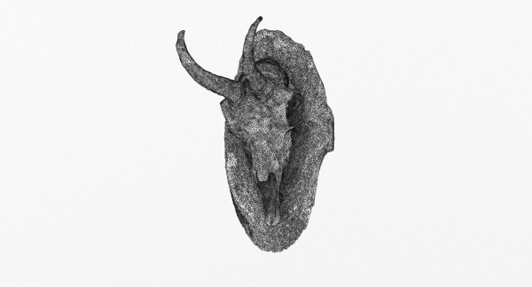 Deer Skull Trophy 2