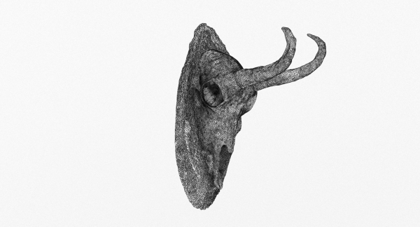 Deer Skull Trophy 2