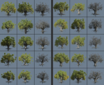 12 High quality Large banyan tree collection