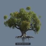 12 High quality Large banyan tree collection