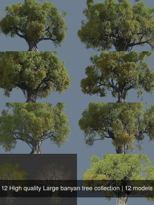 12-high-quality-large-banyan-tree-collection-3d-model-de0d605d28