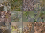 12 Tree collection Vol 2