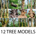 12 Tree collection Vol 2