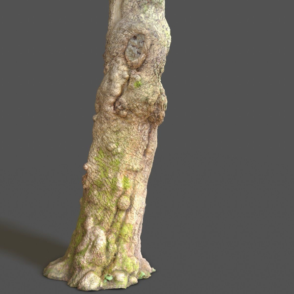 12 Tree collection Vol 2