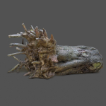 12 Tree collection Vol 2