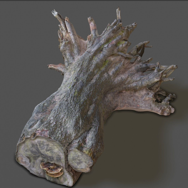 12 Tree collection Vol 2