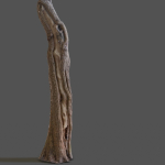 12 Tree collection Vol 2