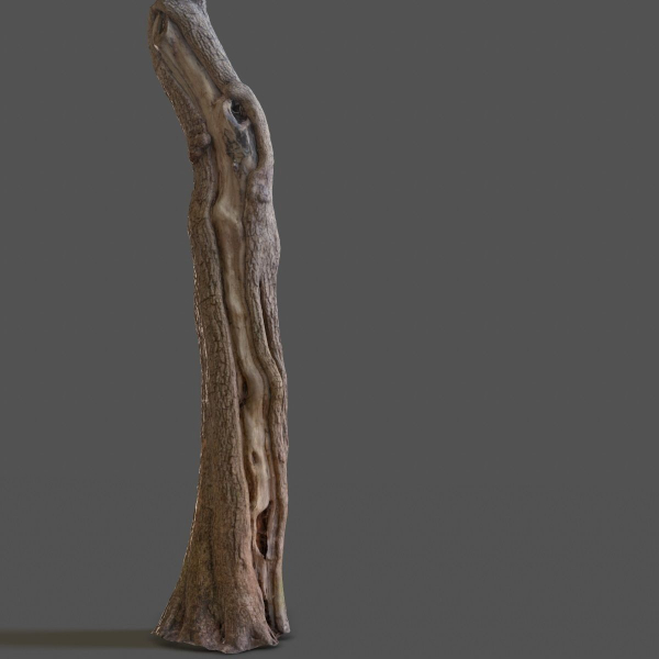 12 Tree collection Vol 2