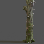 12 Tree collection Vol 2