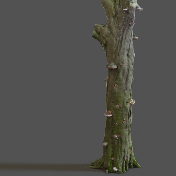 12 Tree collection Vol 2