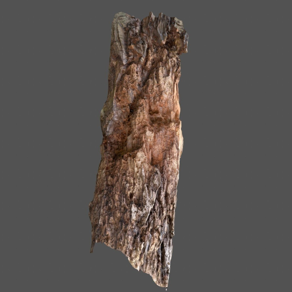 12 Tree collection Vol 2