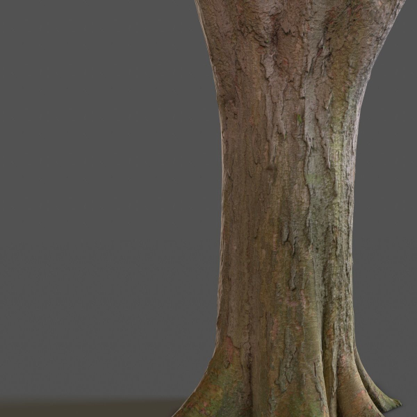 12 Tree collection Vol 2